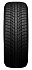 Шина Nexen Winguard Ice Plus 245/45 R19 102T XL